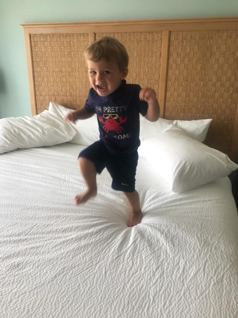 510947816 17843080050522454 694712406809478264 n